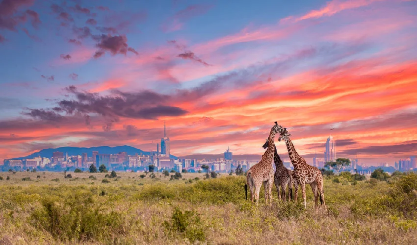 Viaje pincelada de kenia y tanzania  