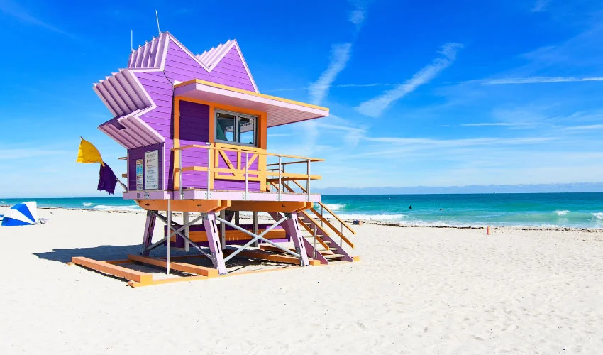 Viaje vive miami 