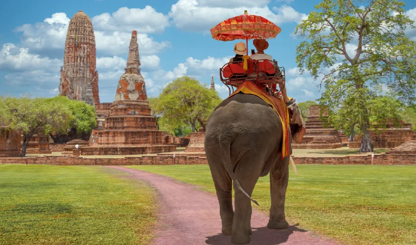 Viaje tailandia y sus mujeres jirafa 