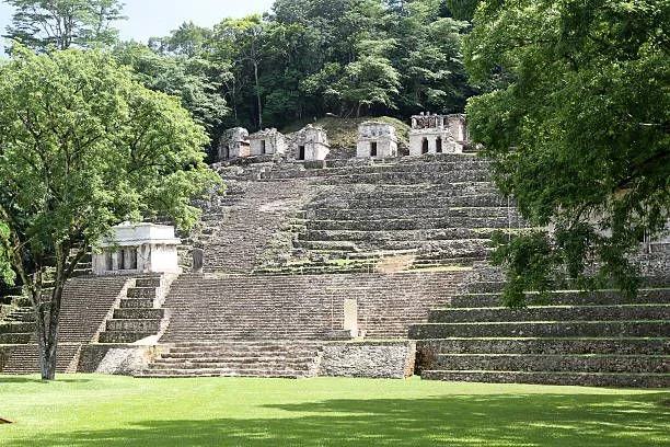 Viaje palenque fugaz 