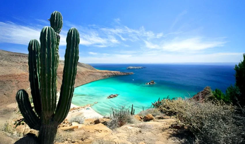 Viaje la paz y sus playas (gdl) 
