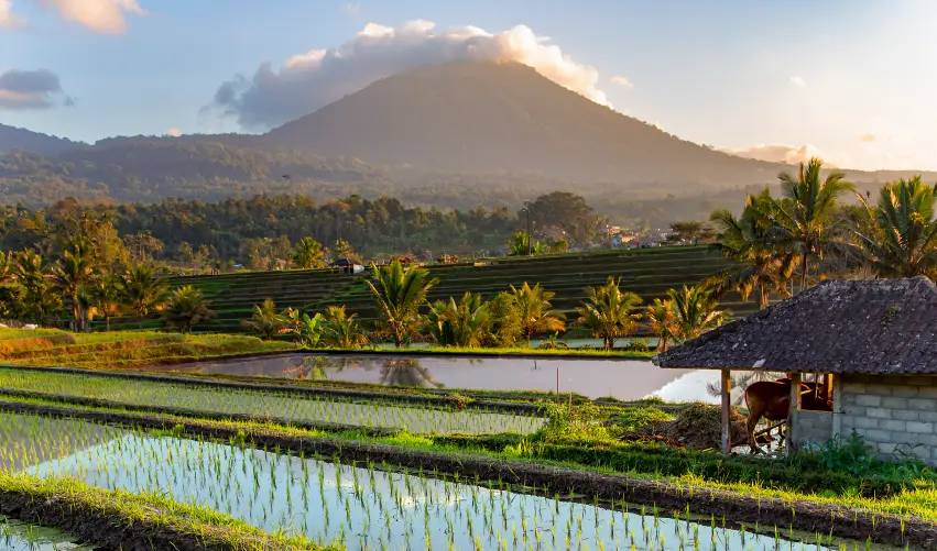 Viaje bali-al-completo 